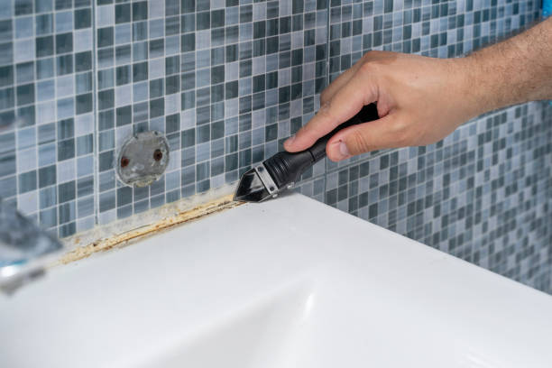 Best Commercial Mold Removal  in Lake Norman Of Catawba, NC